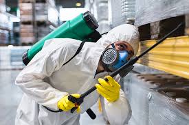 Best Fumigation Services  in Ventnor City, NJ